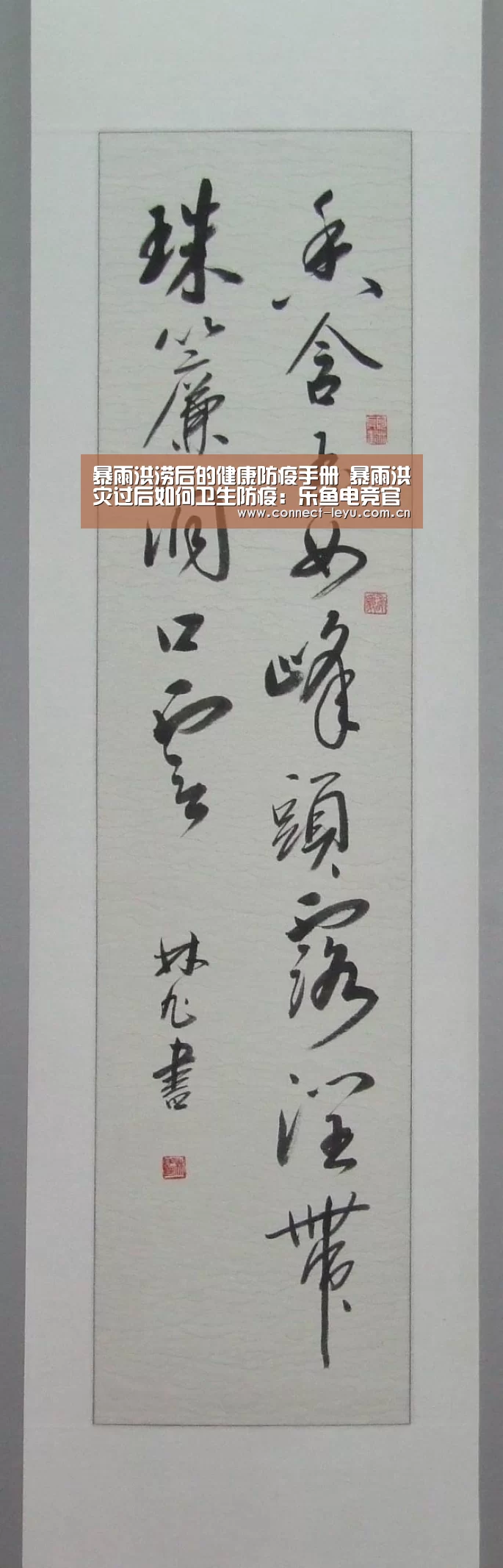 暴雨洪涝后的健康防疫手册 暴雨洪灾过后如何卫生防疫:乐鱼电竞官网(图4) 乐鱼电竞leyu