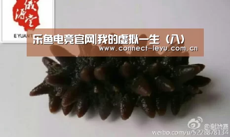 乐鱼电竞官网|我的虚拟一生(八)(图1) 乐鱼电竞官网