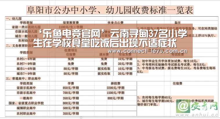 乐鱼电竞官网