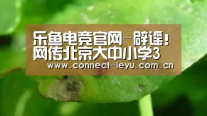 乐鱼电竞官网-辟谣!网传北京大中小学3月初开学系谣言(图2) 乐鱼电竞leyu