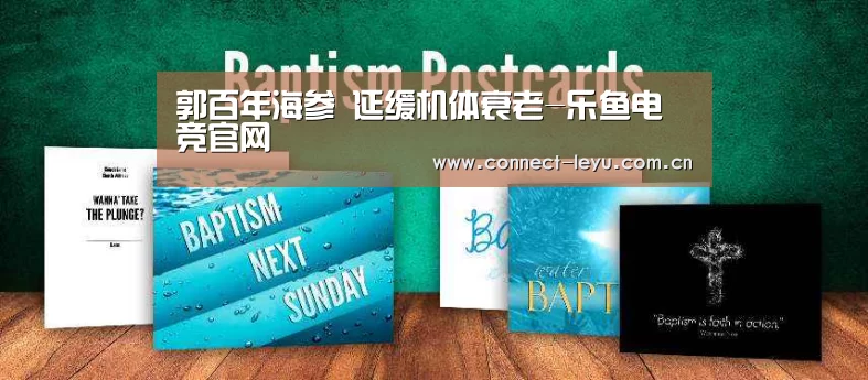 郭百年海参 延缓机体衰老-乐鱼电竞官网(图2) 乐鱼电竞