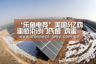‘乐鱼电竞’美国5亿鸡蛋感染沙门氏菌 鸡蛋煮熟吃才安全(图1) 乐鱼电竞平台